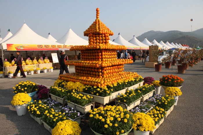 Фестиваль сладкой хурмы в Чинёне (진영단감제)