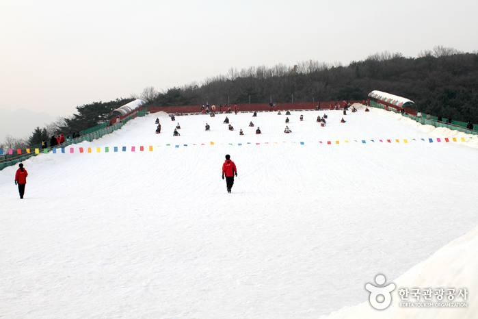 Снежные горки  в парке Соуль Лэнд (서울랜드 눈썰매장)