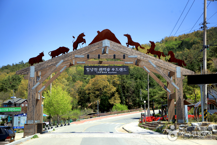 Cypress Forest Woodland (정남진 편백숲 우드랜드) Cypress Forest Woodland (정남진 편백숲 우드랜드)