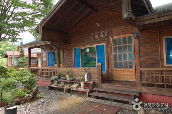 Bosque Recreativo del Monte Daedunsan (대둔산자연휴양림)