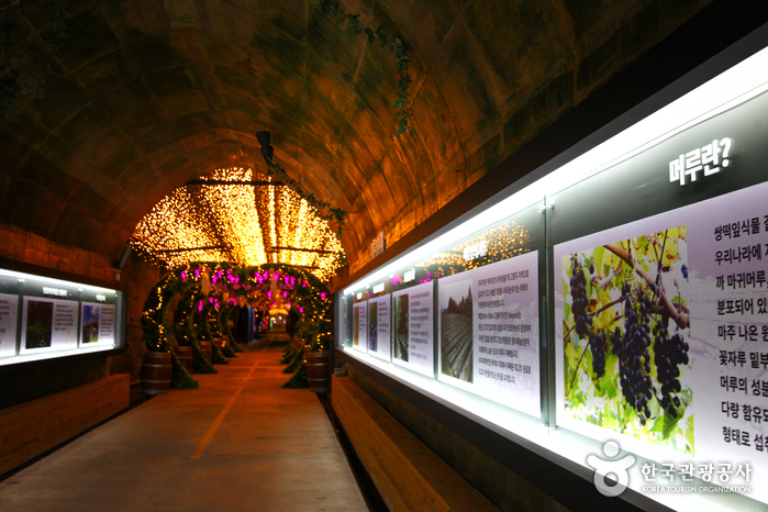 Cueva del Vino Meoru de Muju (무주머루와인동굴) Cueva del Vino Meoru de Muju (무주머루와인동굴)