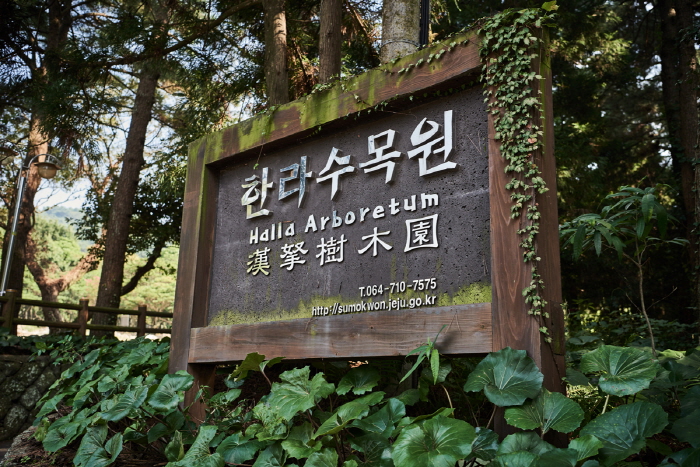 Arboreto Halla (한라수목원)