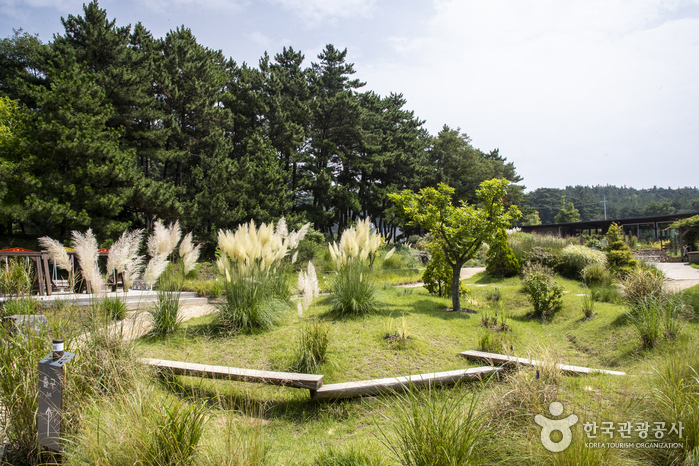 Arboreto Chollipo (천리포수목원)